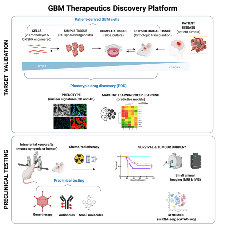 brain tumours