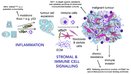 pancreatic cancer